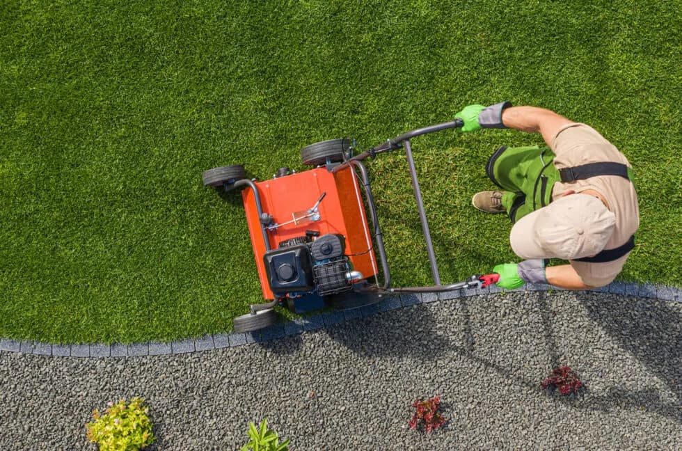 How Often Should You Aerate Your Lawn?