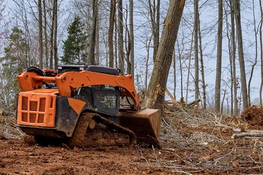 Lot Clearing and Brush Removal