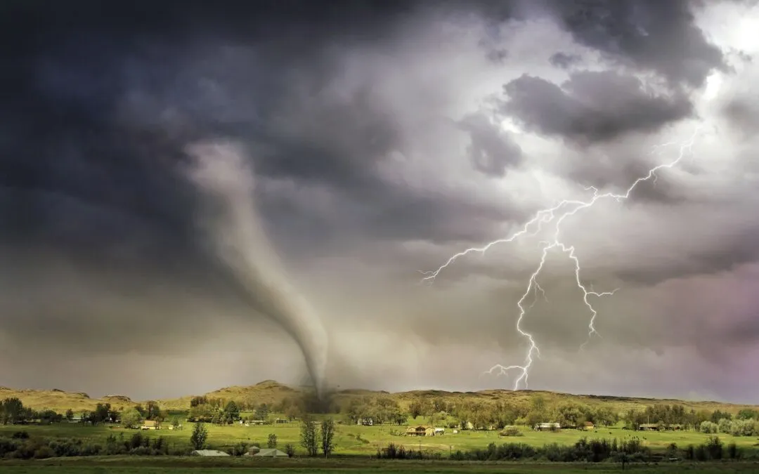 Prepare Your Landscape and Tackle Large Tree Threats with These Storm-Proofing Tips