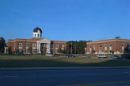 Snellville, Georgia tree service