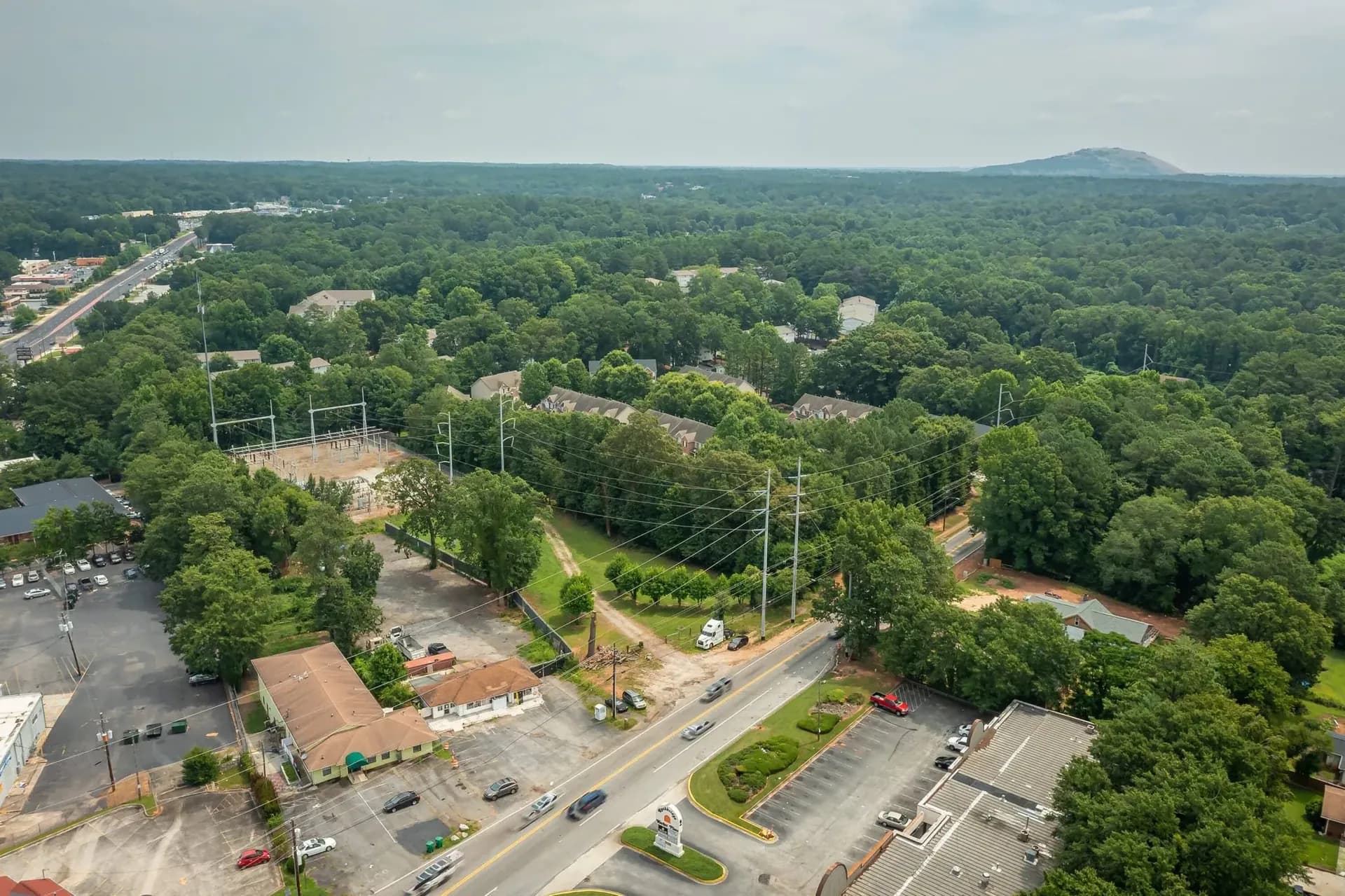 Stone Mountain, Georgia tree service