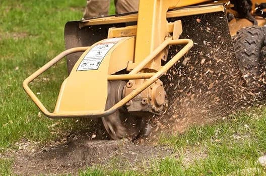 Stump Grinding and Removal