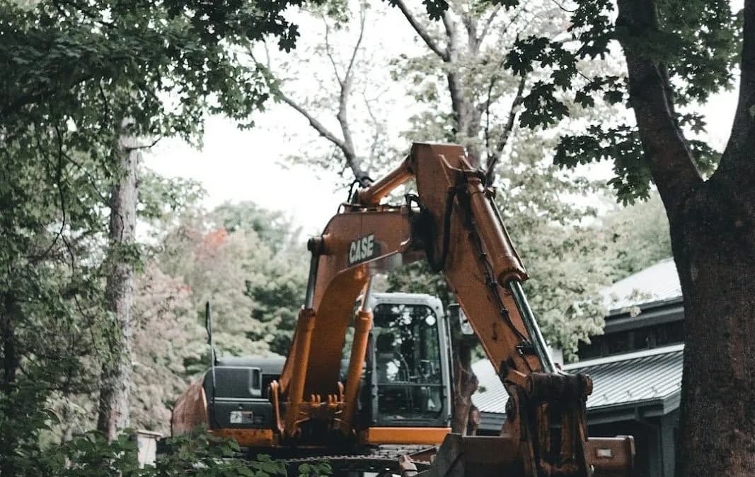 The Hidden Costs of Ignoring Tree Maintenance
