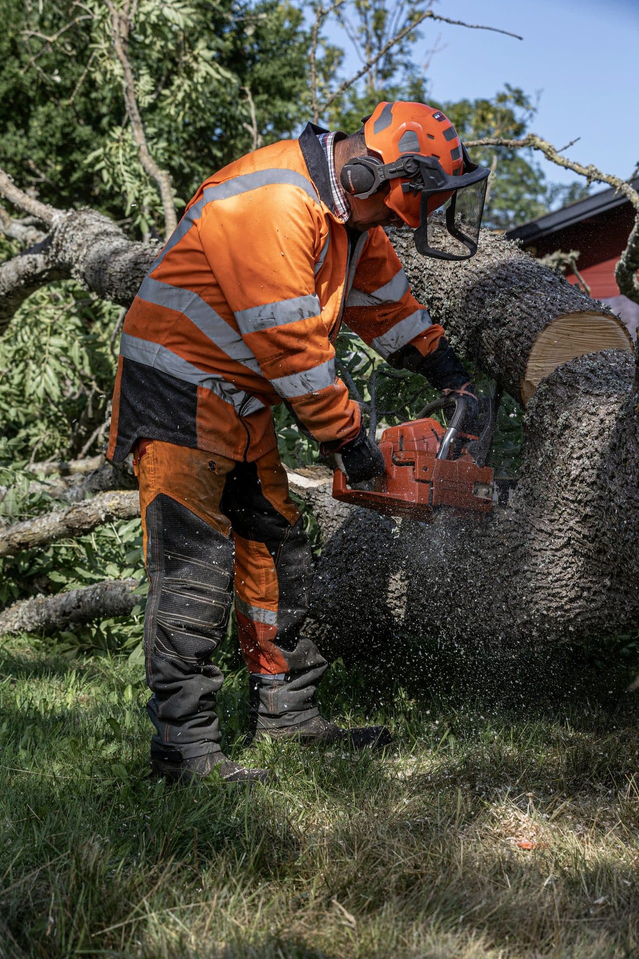 R & R Tree Service crew at work