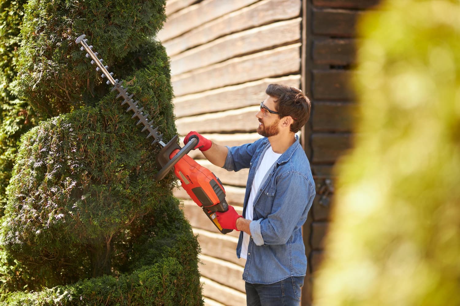 Tree Trimming & Pruning