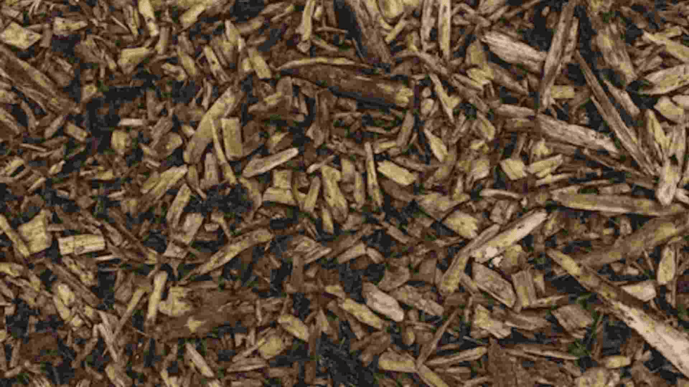 What is Mulch & What is it Used For?