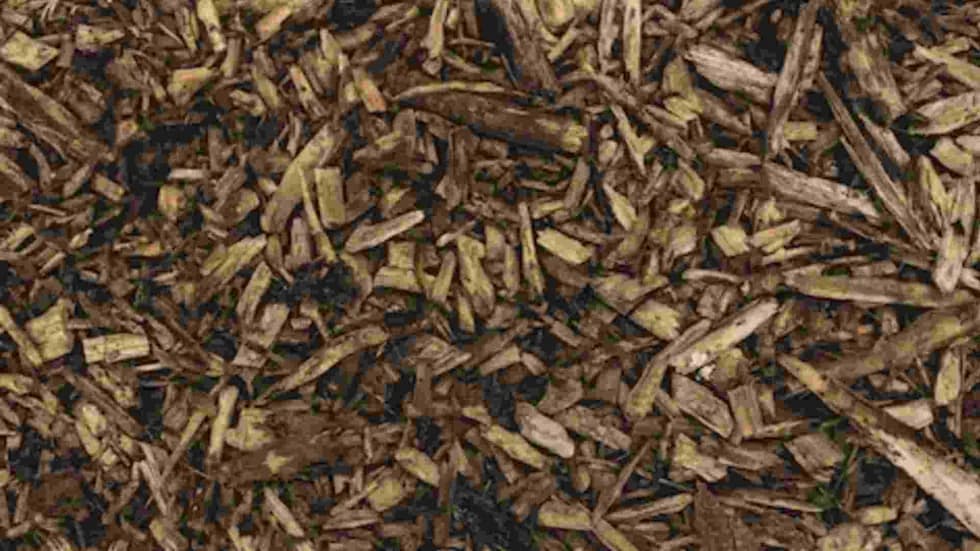 What is Mulch & What is it Used For?