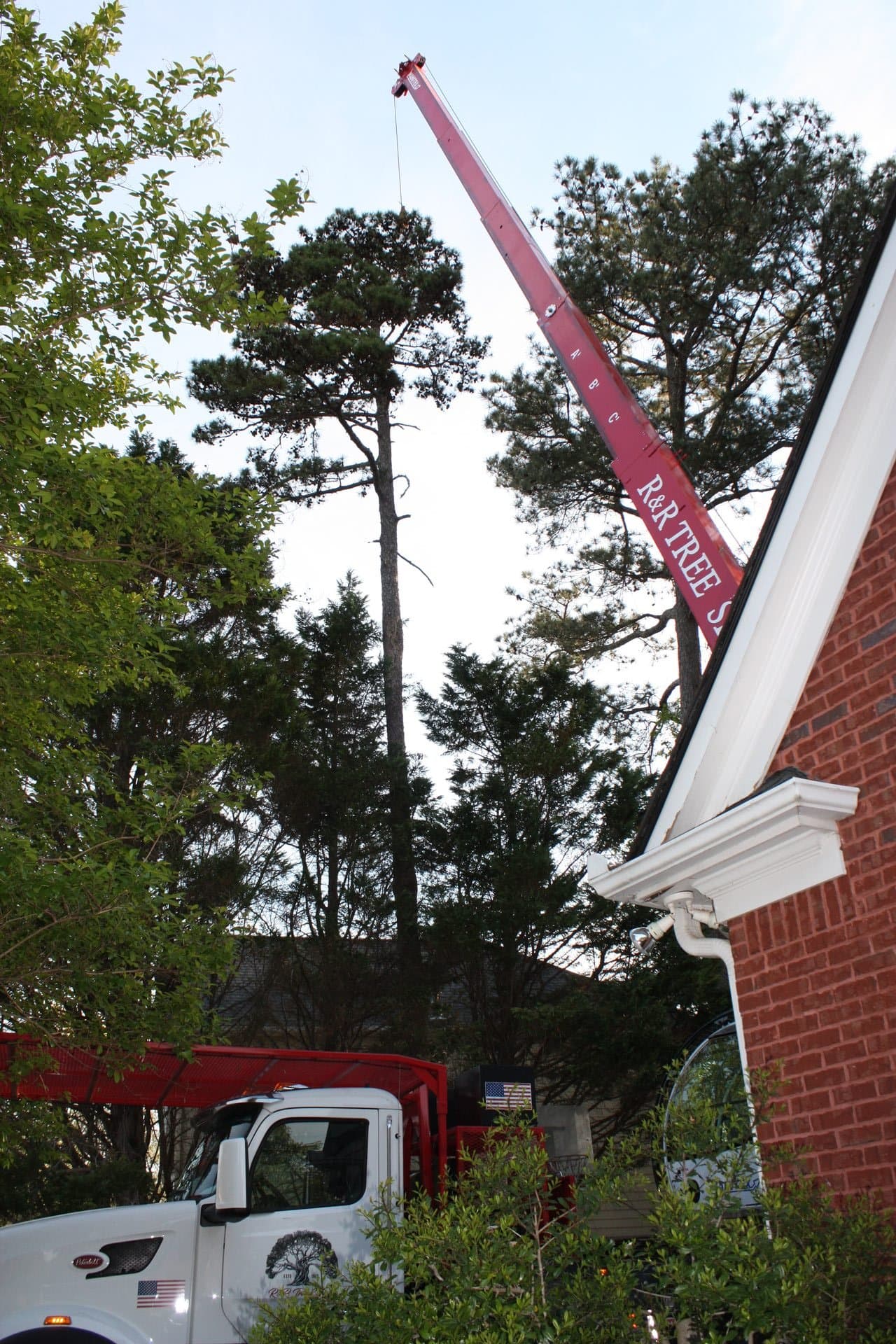 A Tree Fell on a Power Line: Who to Call in North Georgia