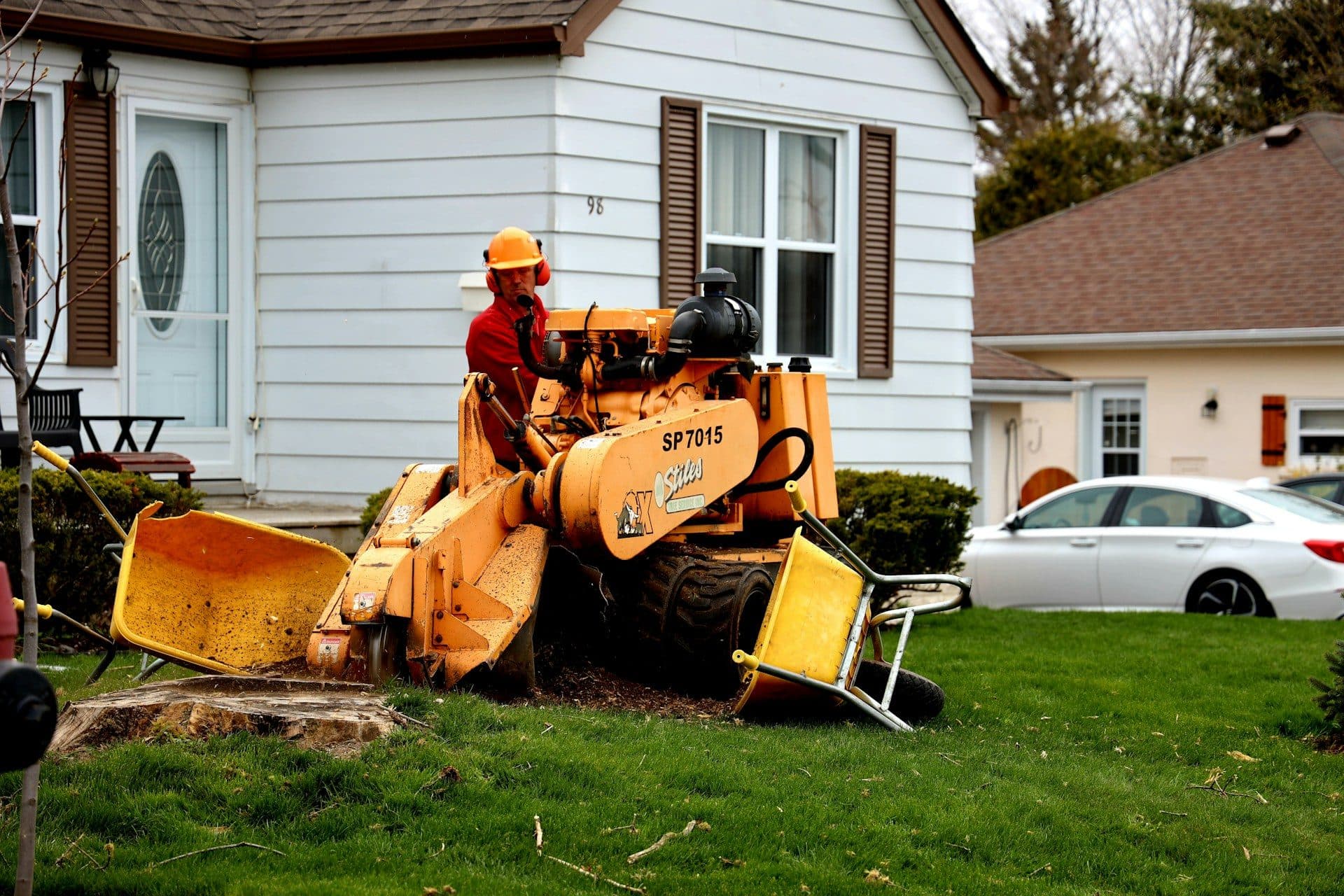 Stump Grinding vs. Removal in Georgia: Which Option Is Right for Your Property?