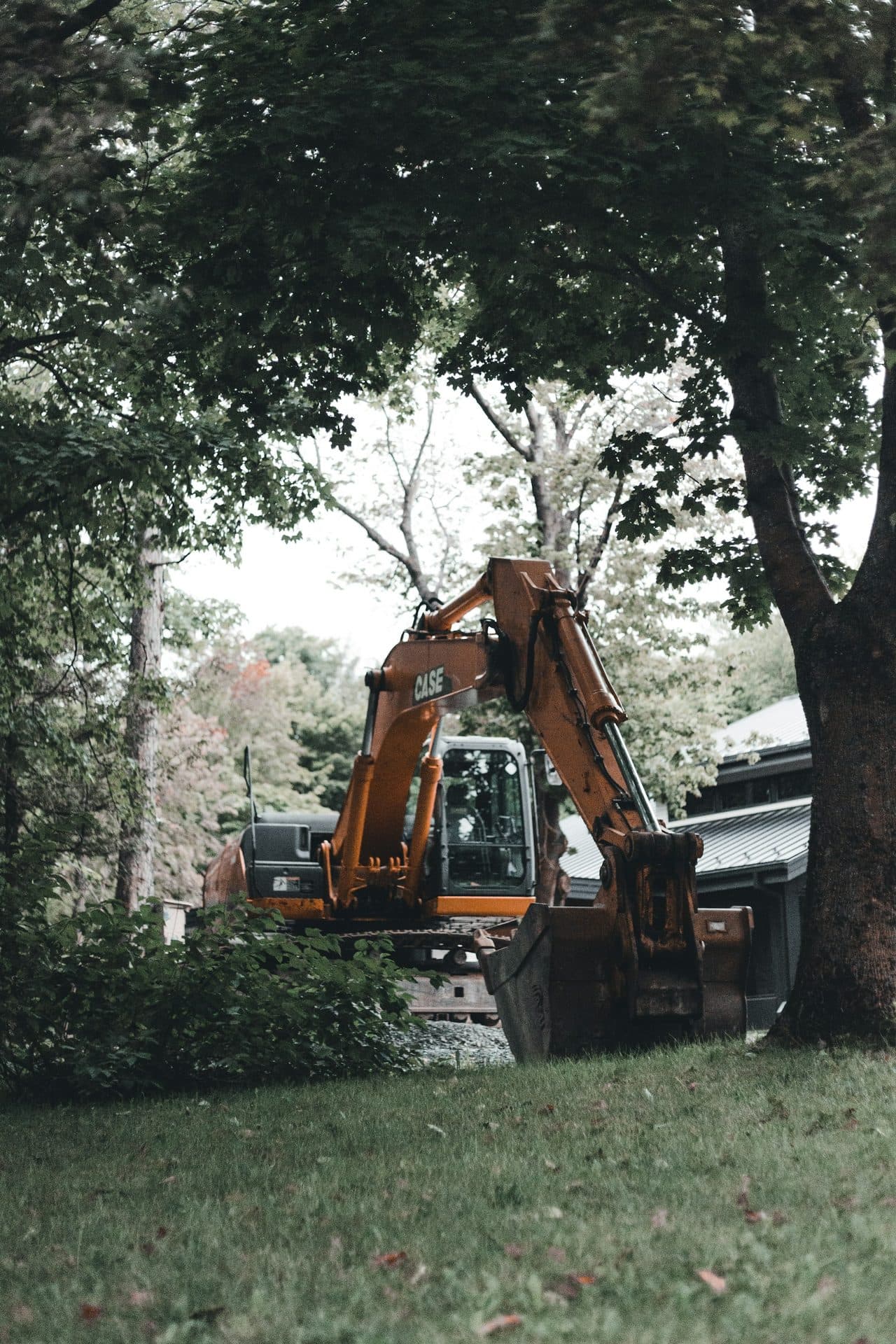 Insurance coverage for emergency tree removal