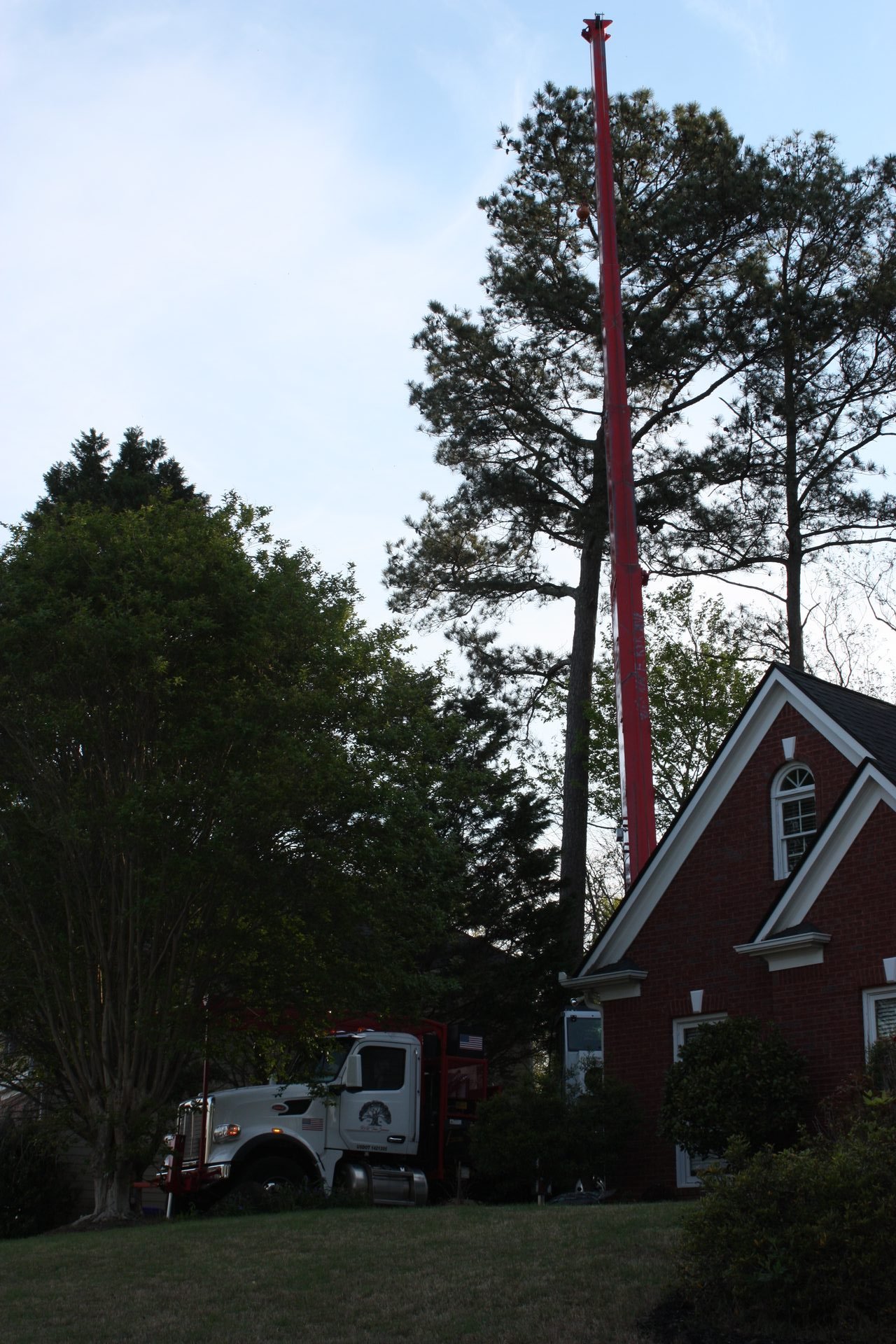 Georgia Fallen-Tree Law: Who's Responsible for Removal?
