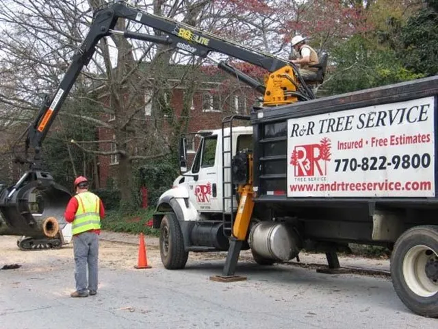 Residential Clearing