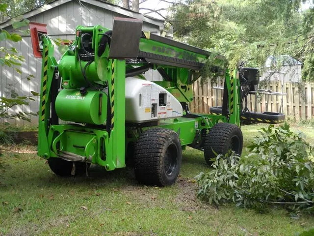 Professional Tree Lift Setup