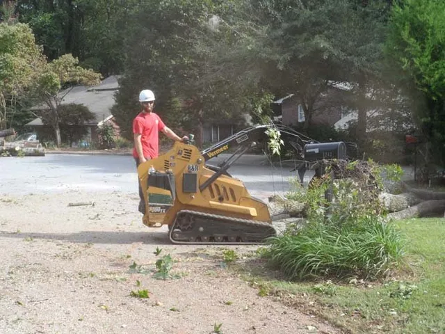Property Cleanup & Clearing