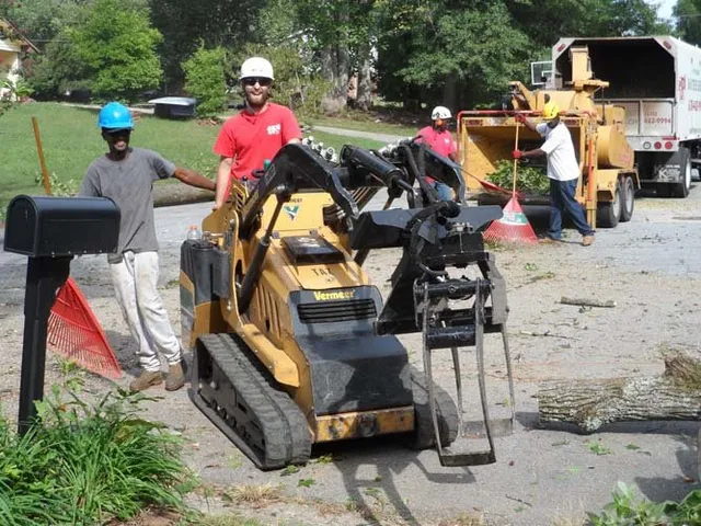 Skilled Tree Service Crew