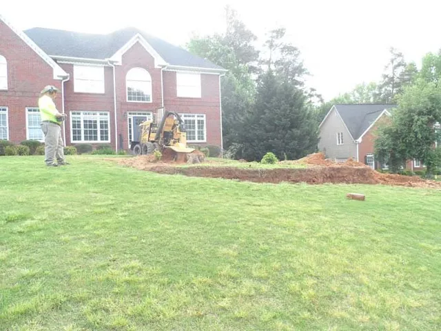 Expert Stump Grinding Service