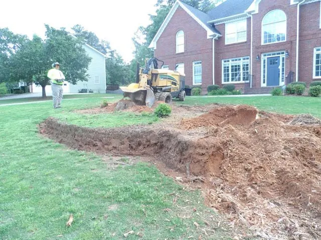 Residential Land Clearing Project