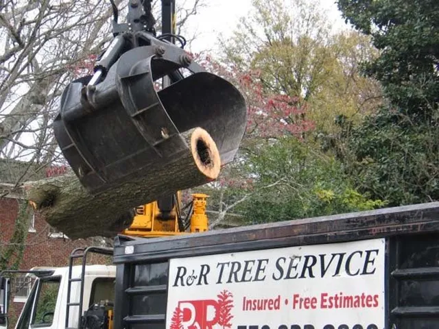 Professional Grapple Crane Service