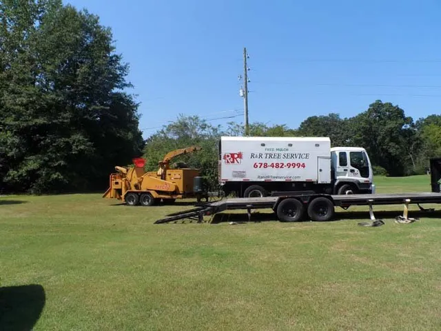 Professional Tree Service Equipment