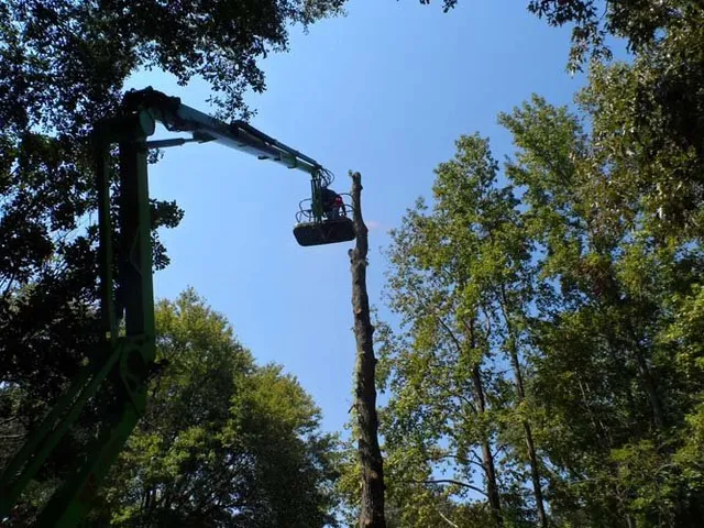 Heavy Log Removal Operations