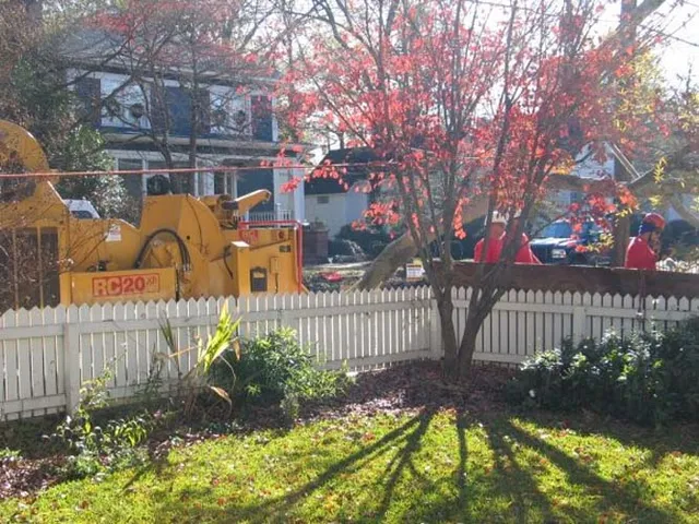 Heavy Log Removal Service
