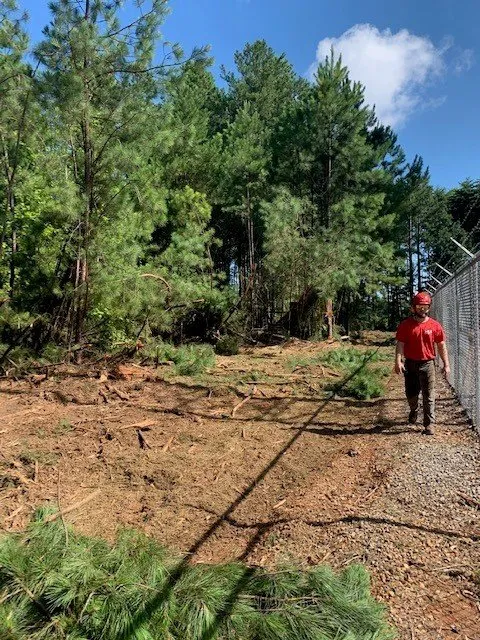 Tree Service Fleet & Equipment