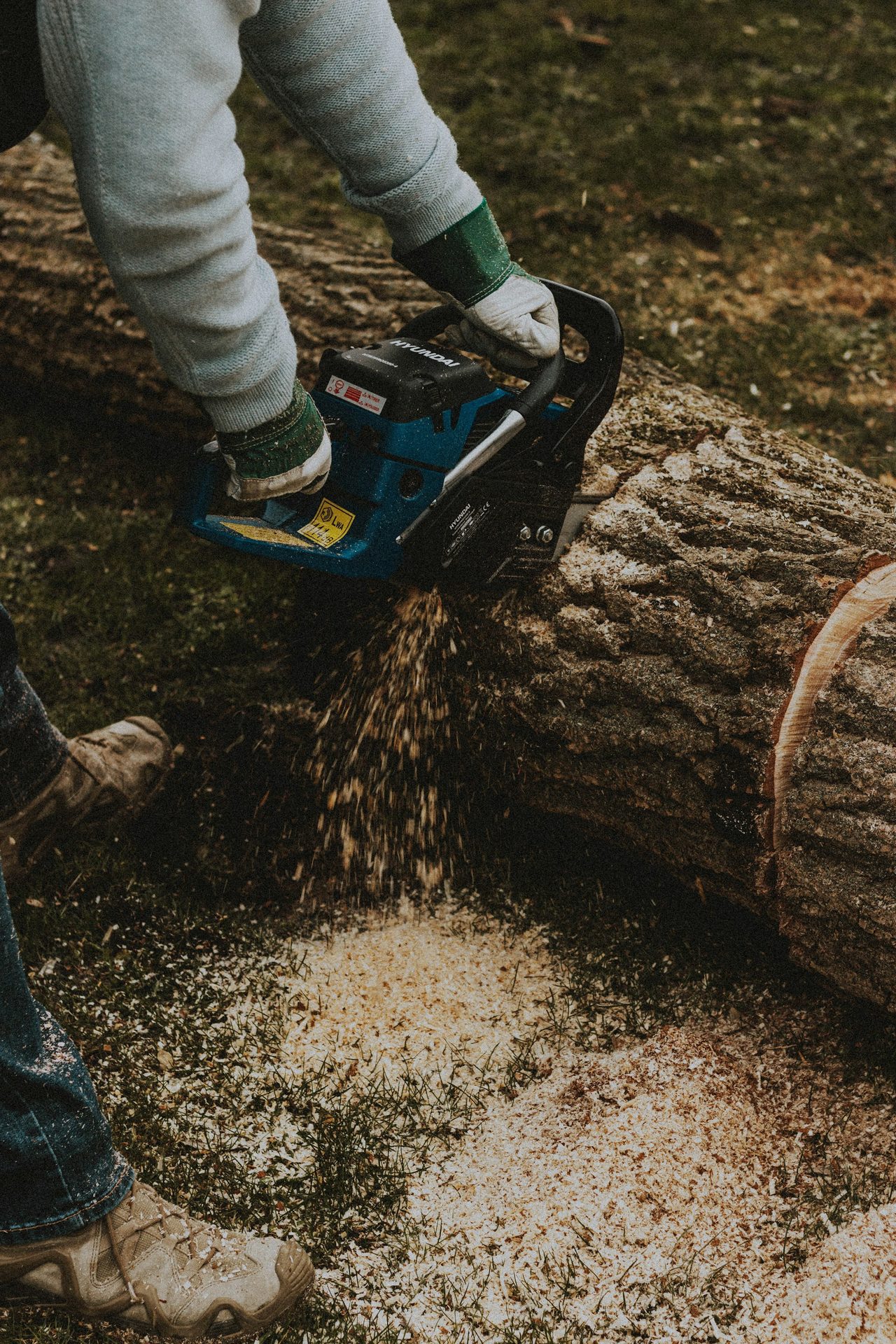 North Georgia Tree Removal Permit Guide: What Homeowners Need to Know Before Removing a Tree