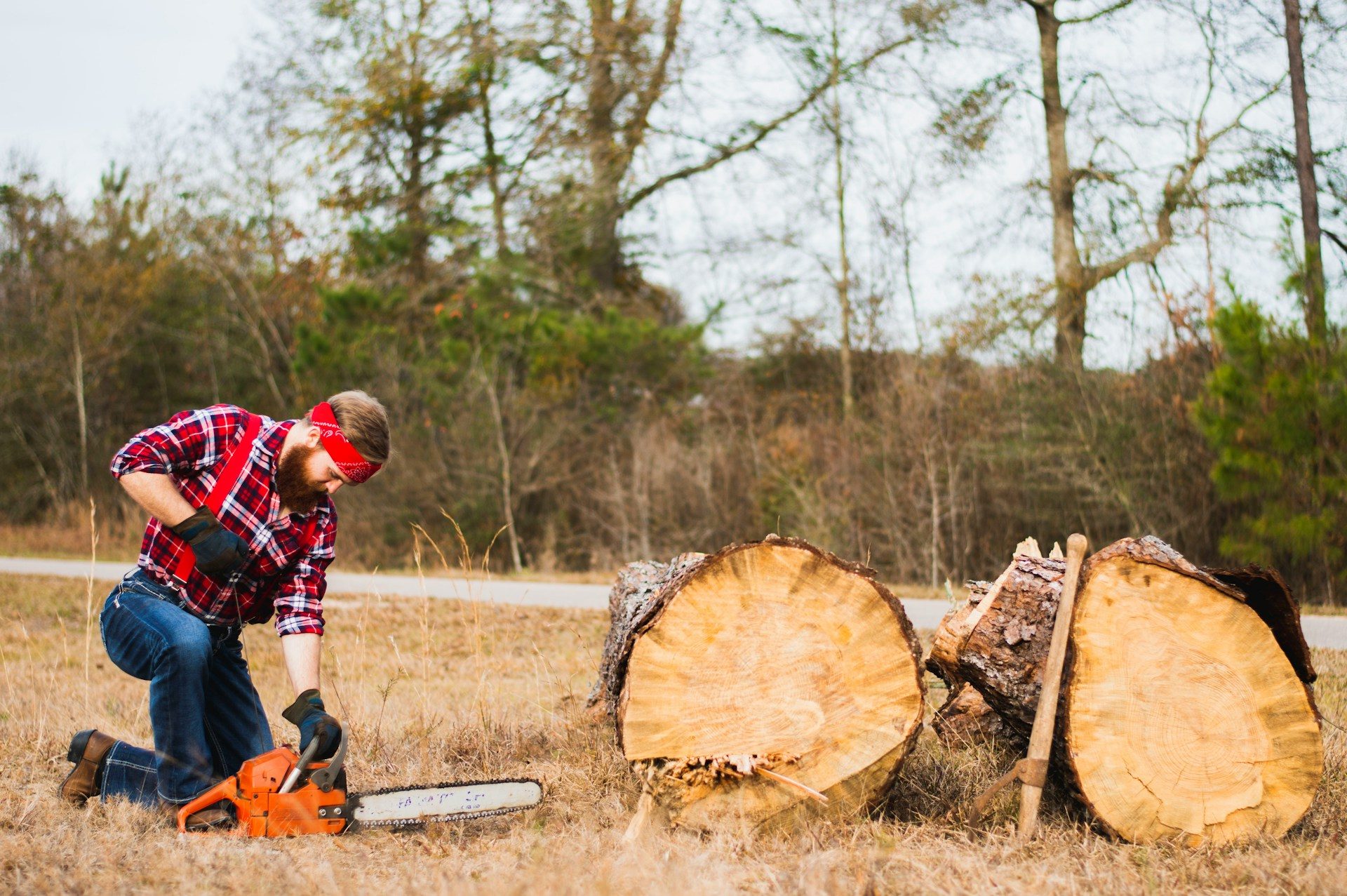 North Georgia Tree Removal Permit Guide: What Homeowners Need to Know Before Removing a Tree