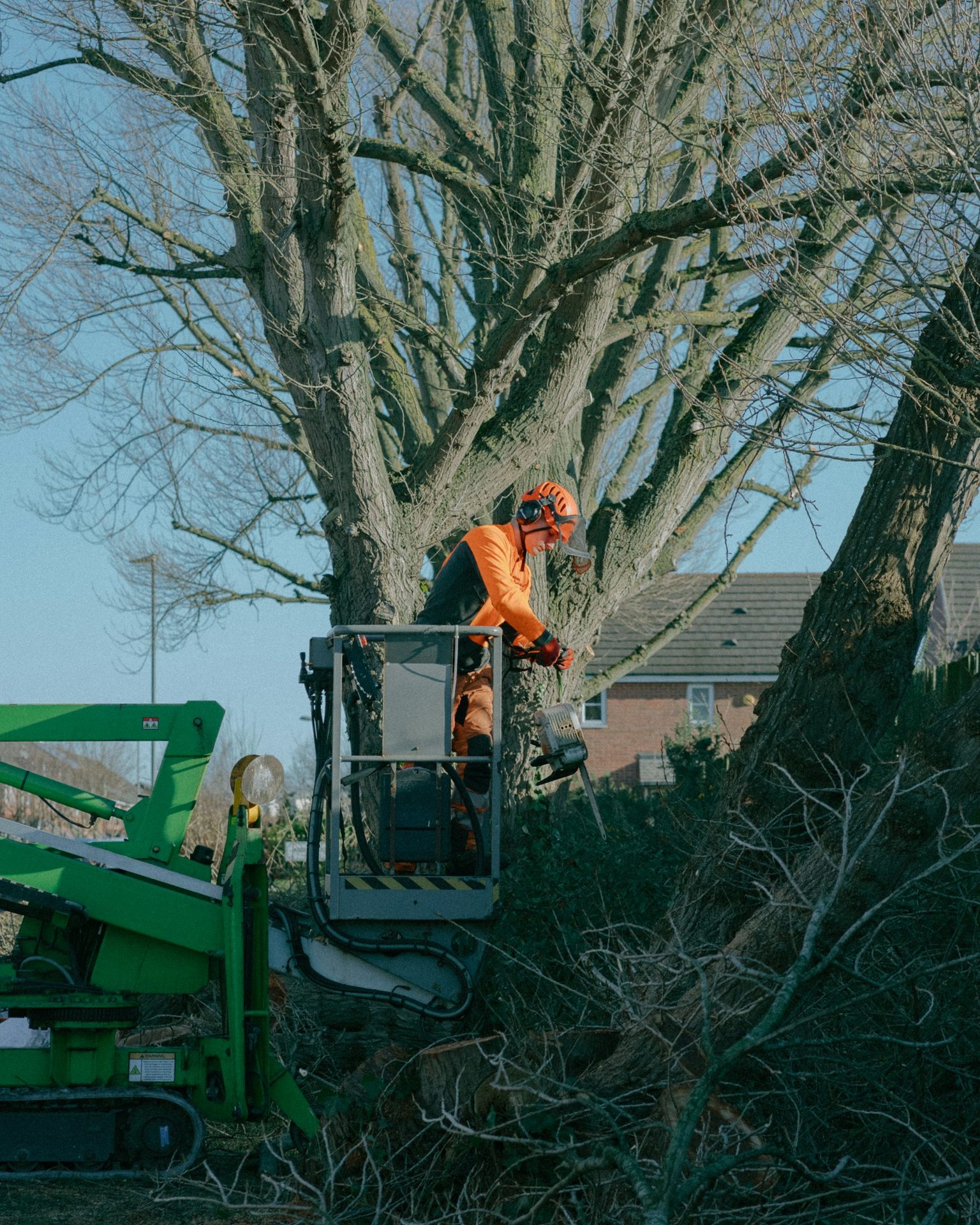 Stump Grinding vs. Removal in Georgia: Which Option Is Right for Your Property?