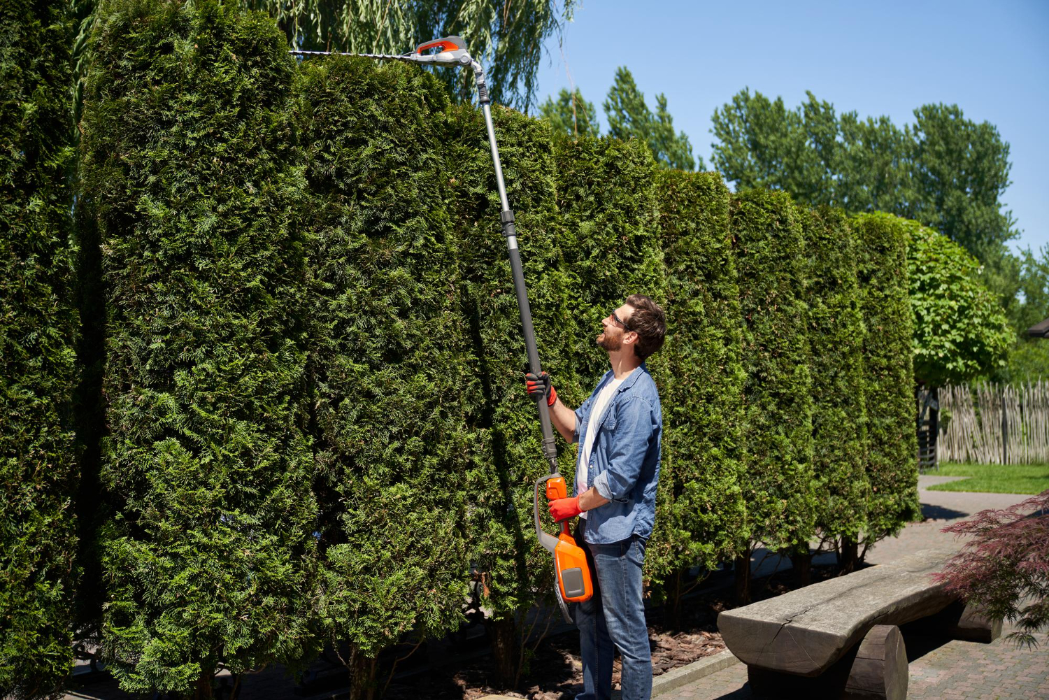 Professional arborist trimming trees in North Georgia