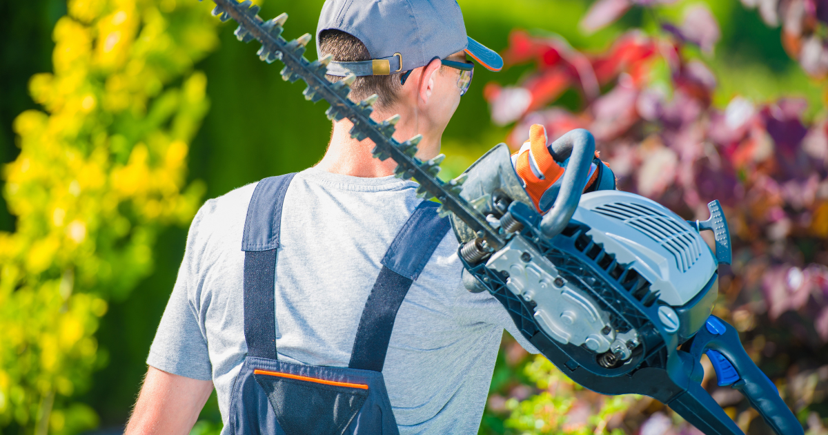 man with hedge trimmer