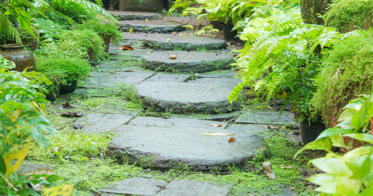 Stepping Stone Walkways
