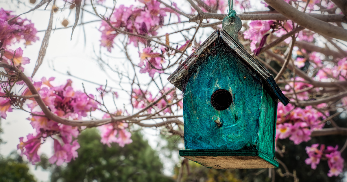 Installing Birdhouses