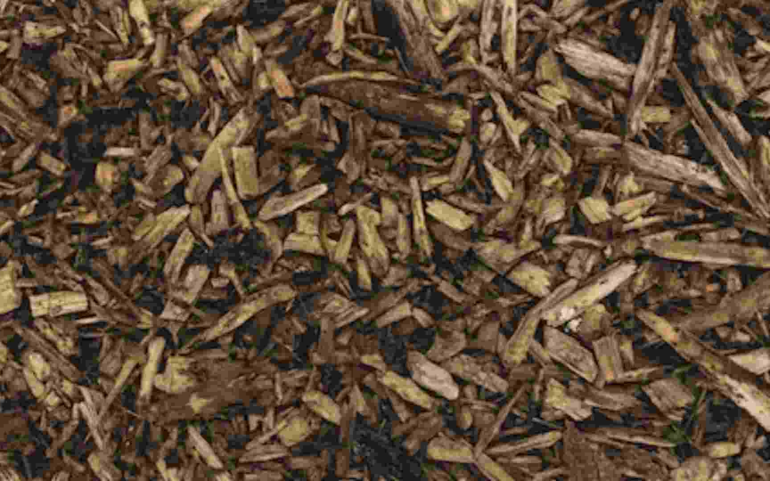 What is Mulch & What is it Used For?