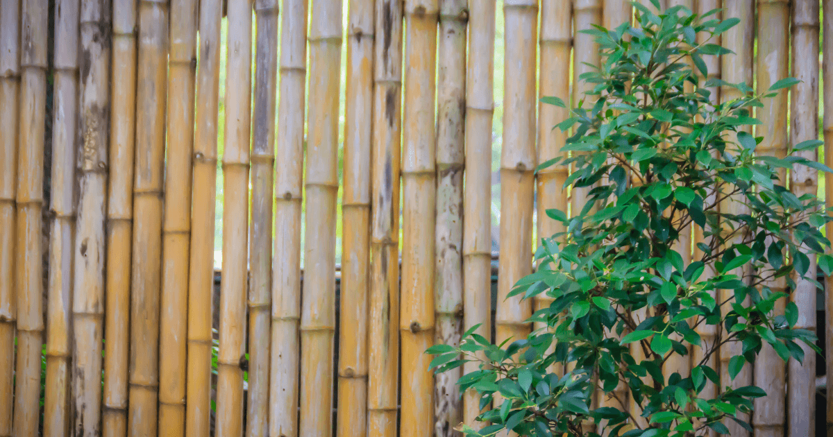 Bamboo Garden Walls
