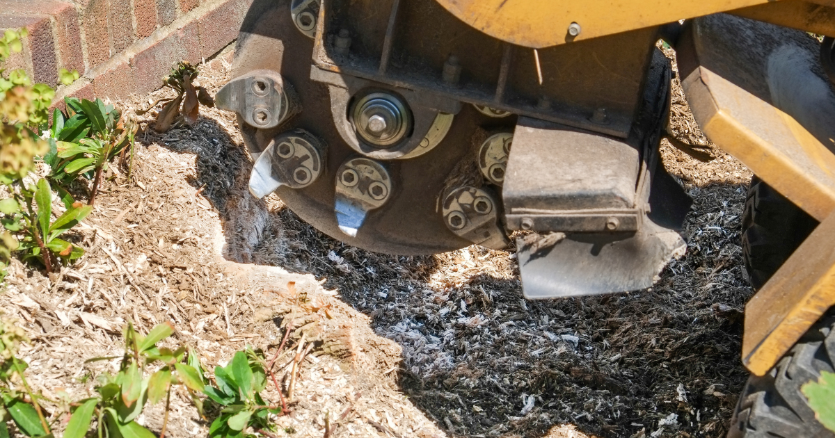 Tools and Equipment for Stump Removal