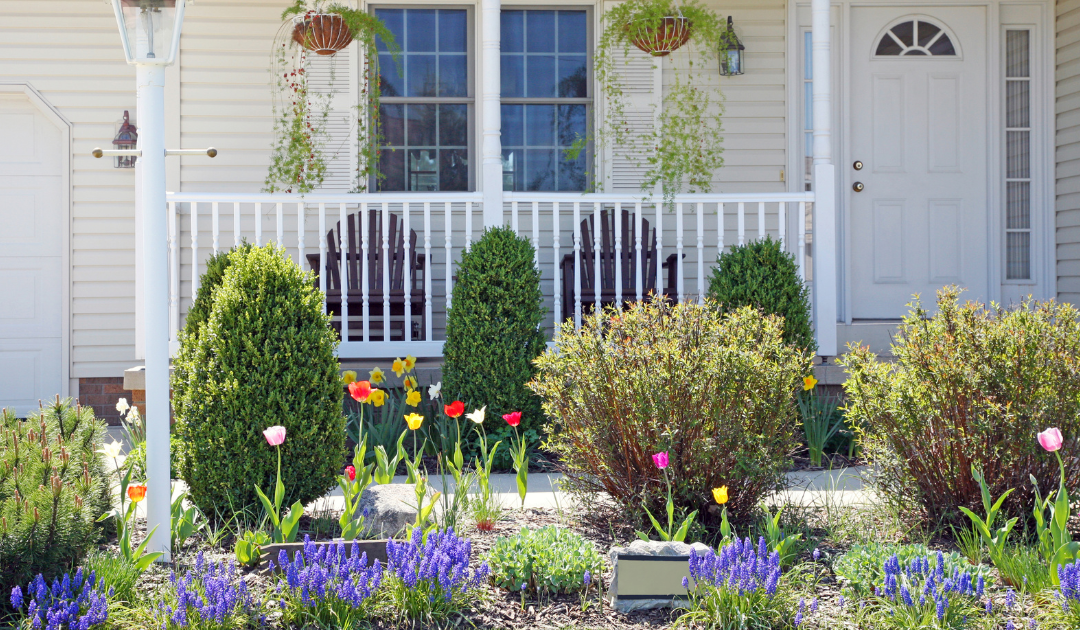 Spring Landscaping Ideas For Your Backyard