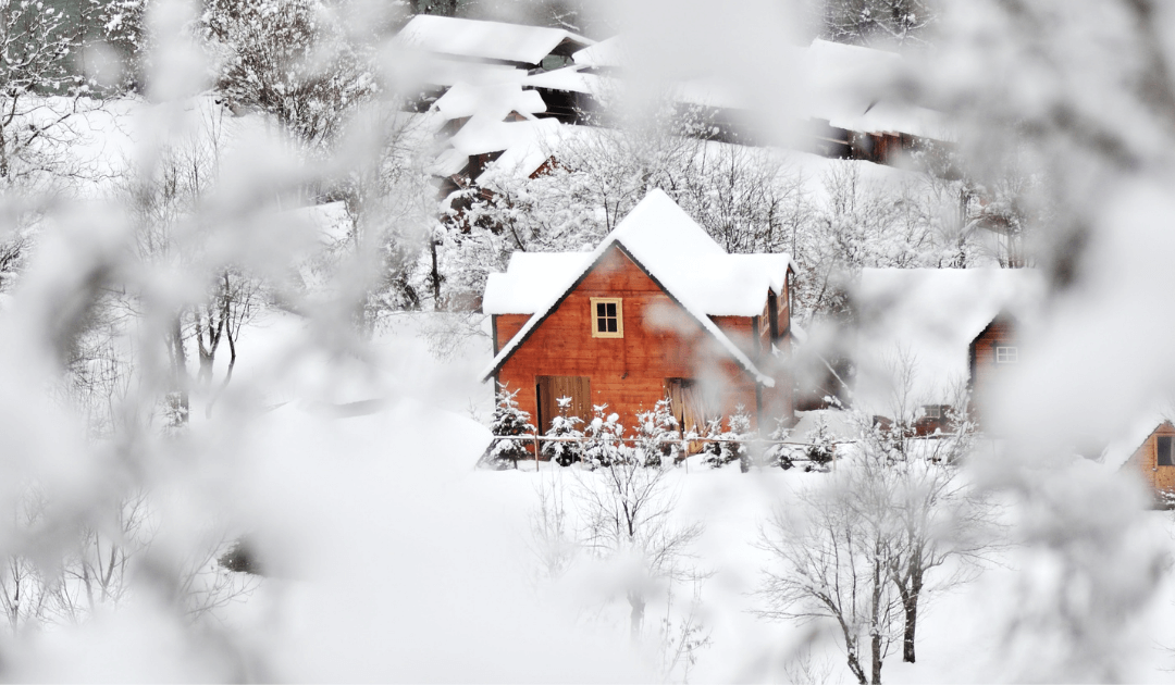 yard in winter