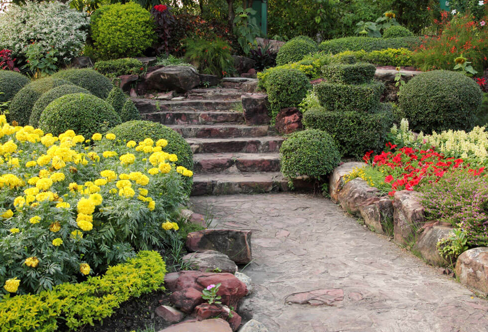 What is Landscaping: The Ultimate Beginners Guide