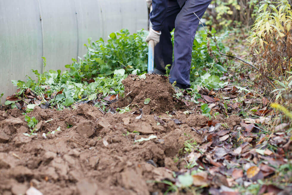 man digging