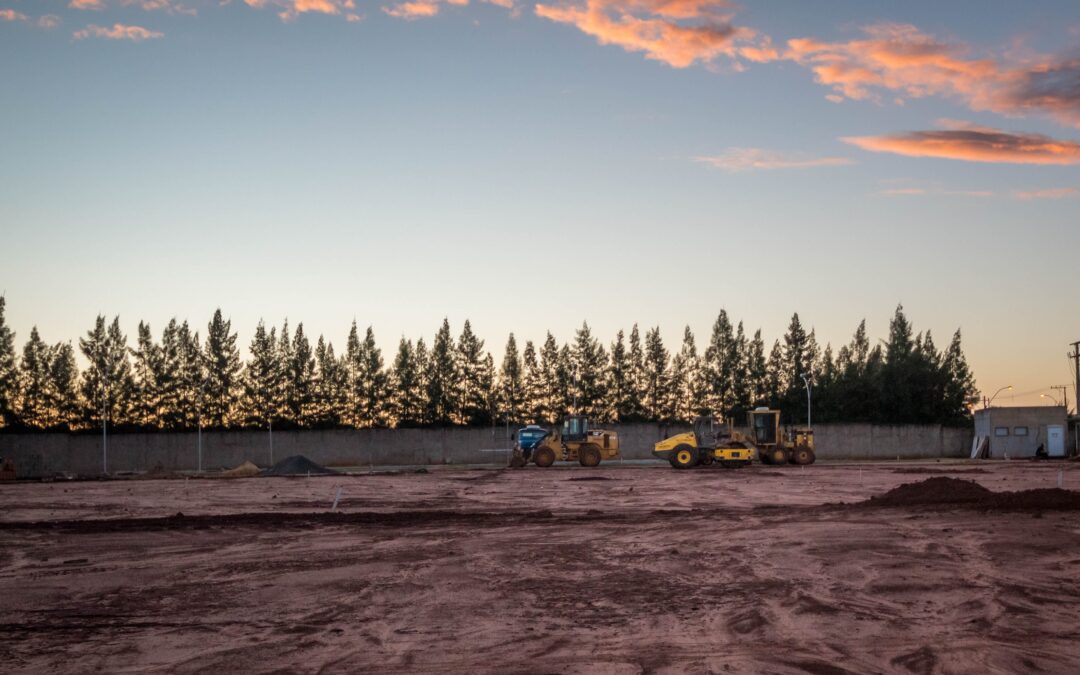 Preserving Backyard Forest Health on Your Building Site