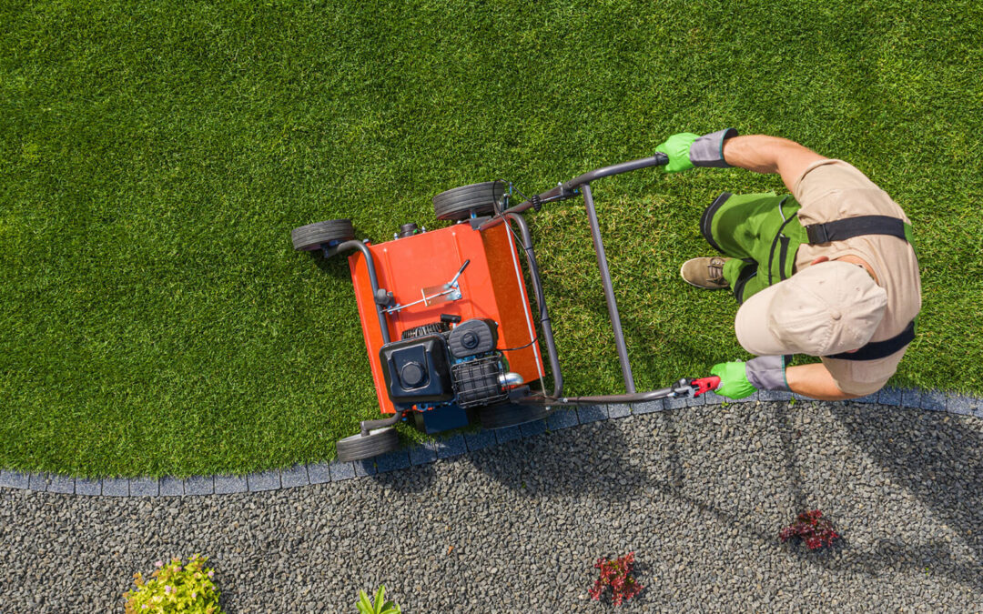 How Often Should You Aerate Your Lawn?