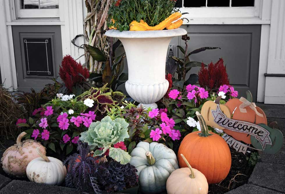 19 Fall 2023 Backyard Landscaping Ideas